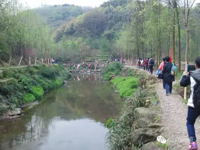 乐水行:发现桃花溪的夏天