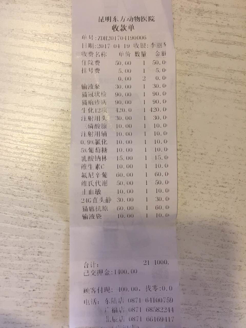 盆骨骨折小猫筹款/此番颠沛流离,只愿你幸福安康