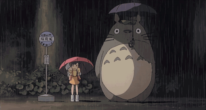 龙猫.gif