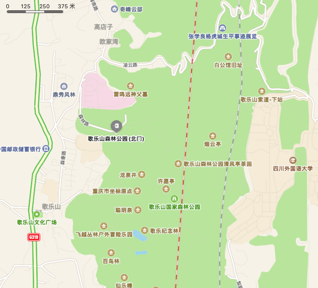 歌乐山森林公园护山义工424上午
