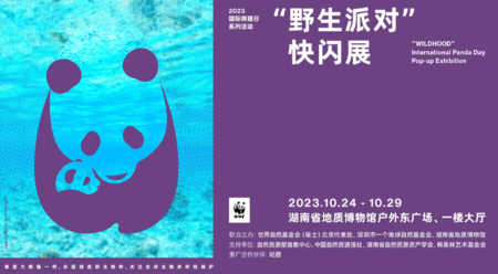 志愿者招募 • 湖南省地质博物馆“野生派对”快闪展