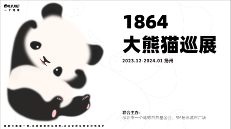 国际熊猫日 1864大熊猫巡展 | 志愿者招募 •  扬州站