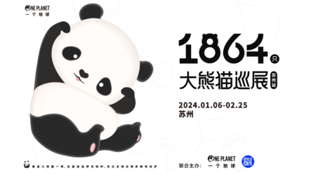 国际熊猫日 1864大熊猫巡展 | 志愿者招募 • 苏州站