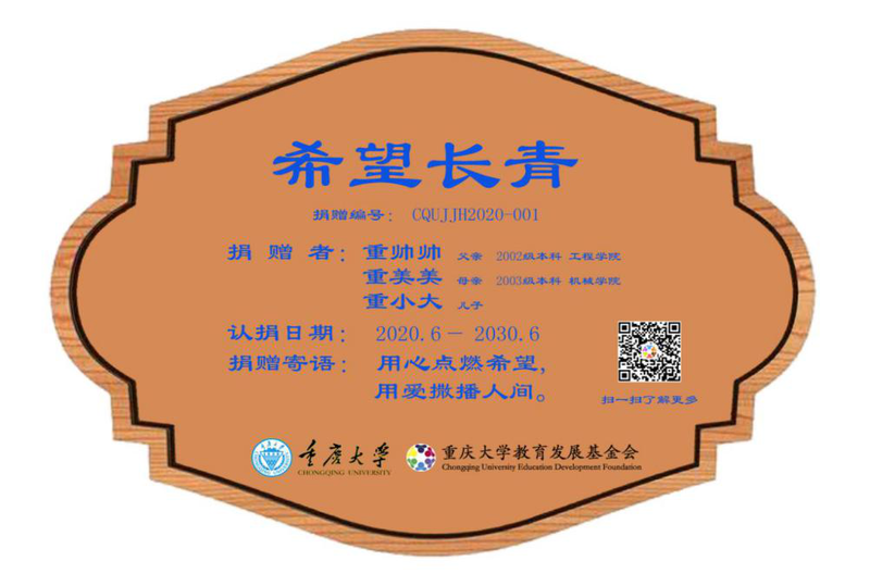 希望长青树木认养项目