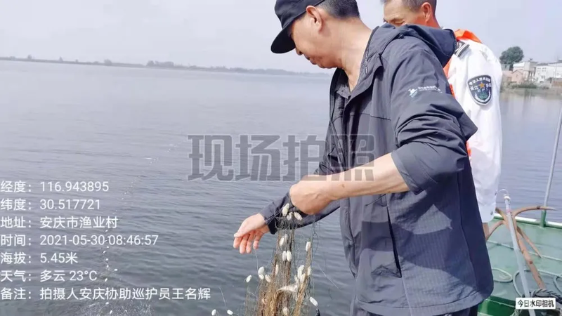 图片42.png