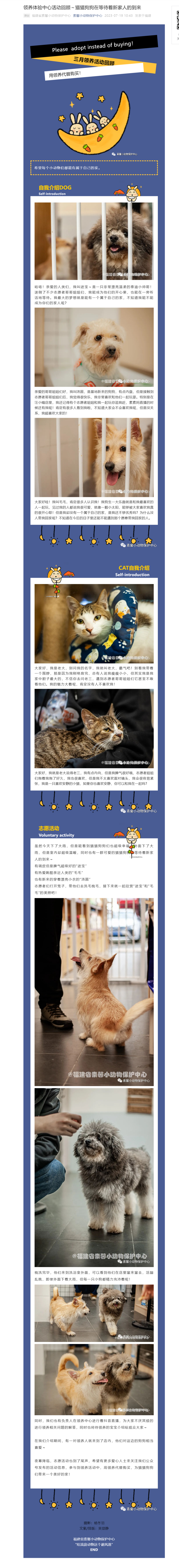 领养体验中心活动回顾～猫猫狗狗在等待着新家人的到来.png