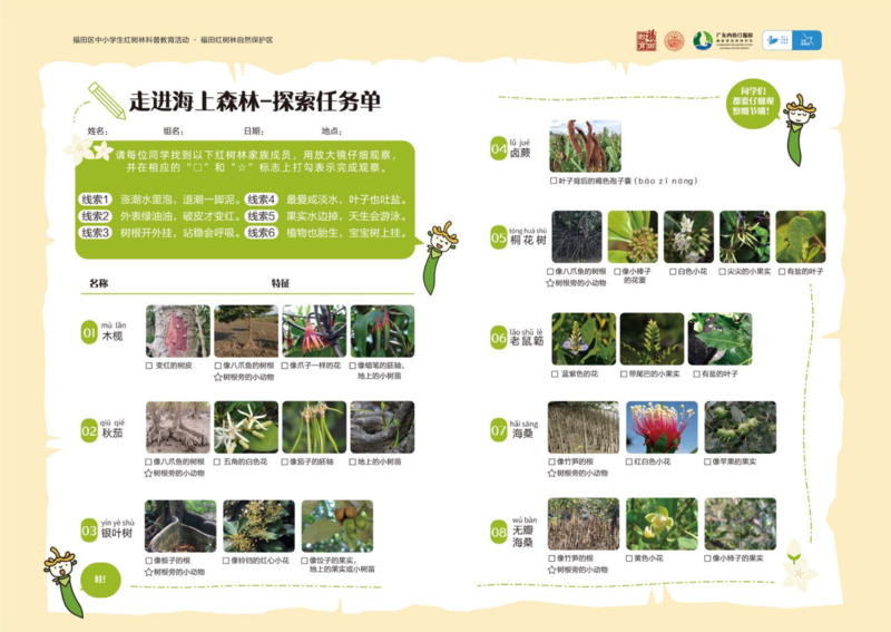7-1 “走进海上森林”半日校外实地探索活动.png