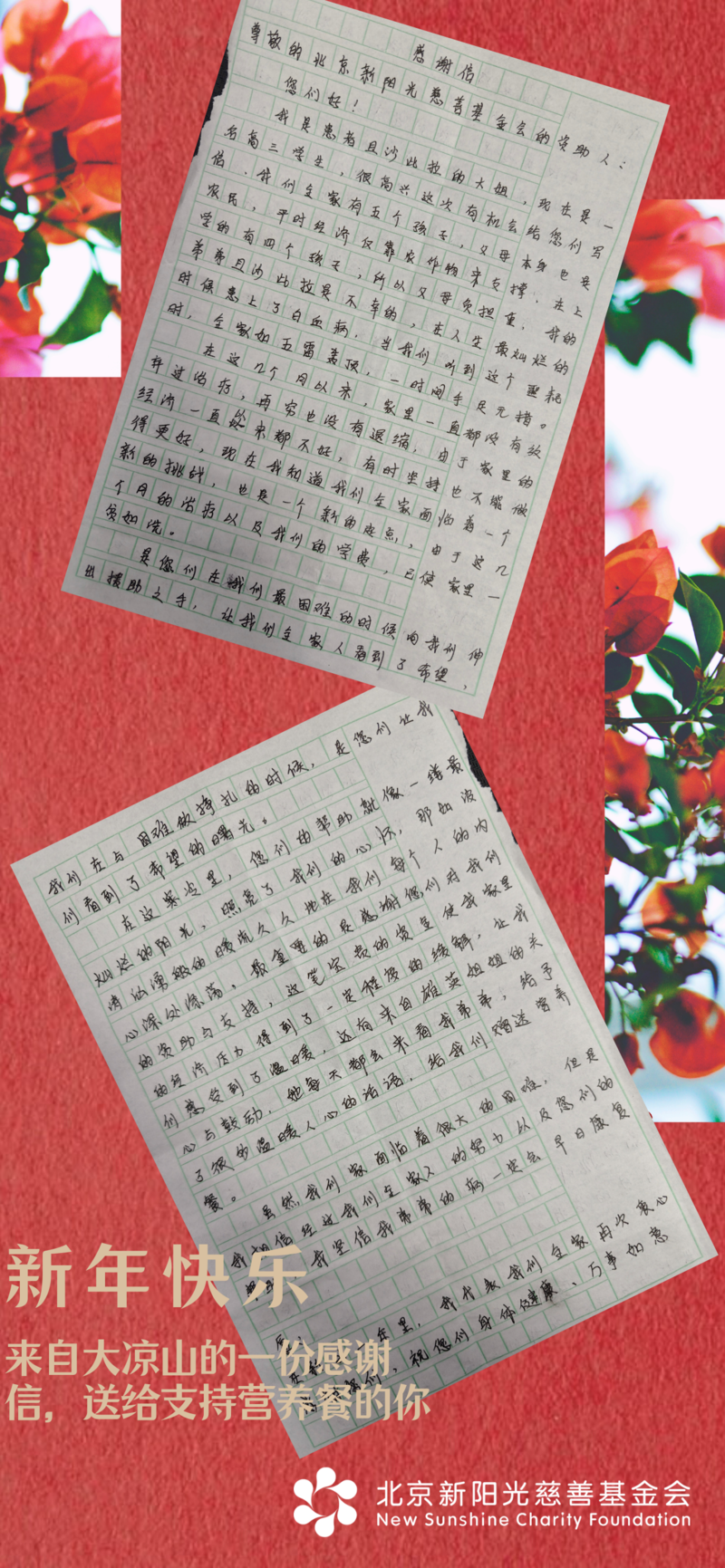 红金色红花照片春节中文手机拼图 (2).png