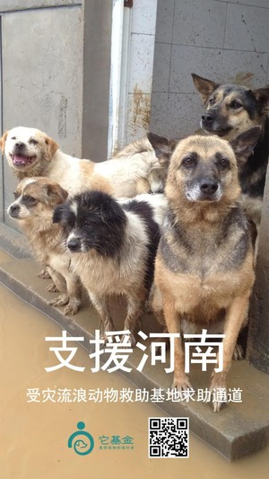 成为 爱它合伙人 向善而生 成为 爱它合伙人 向善而生