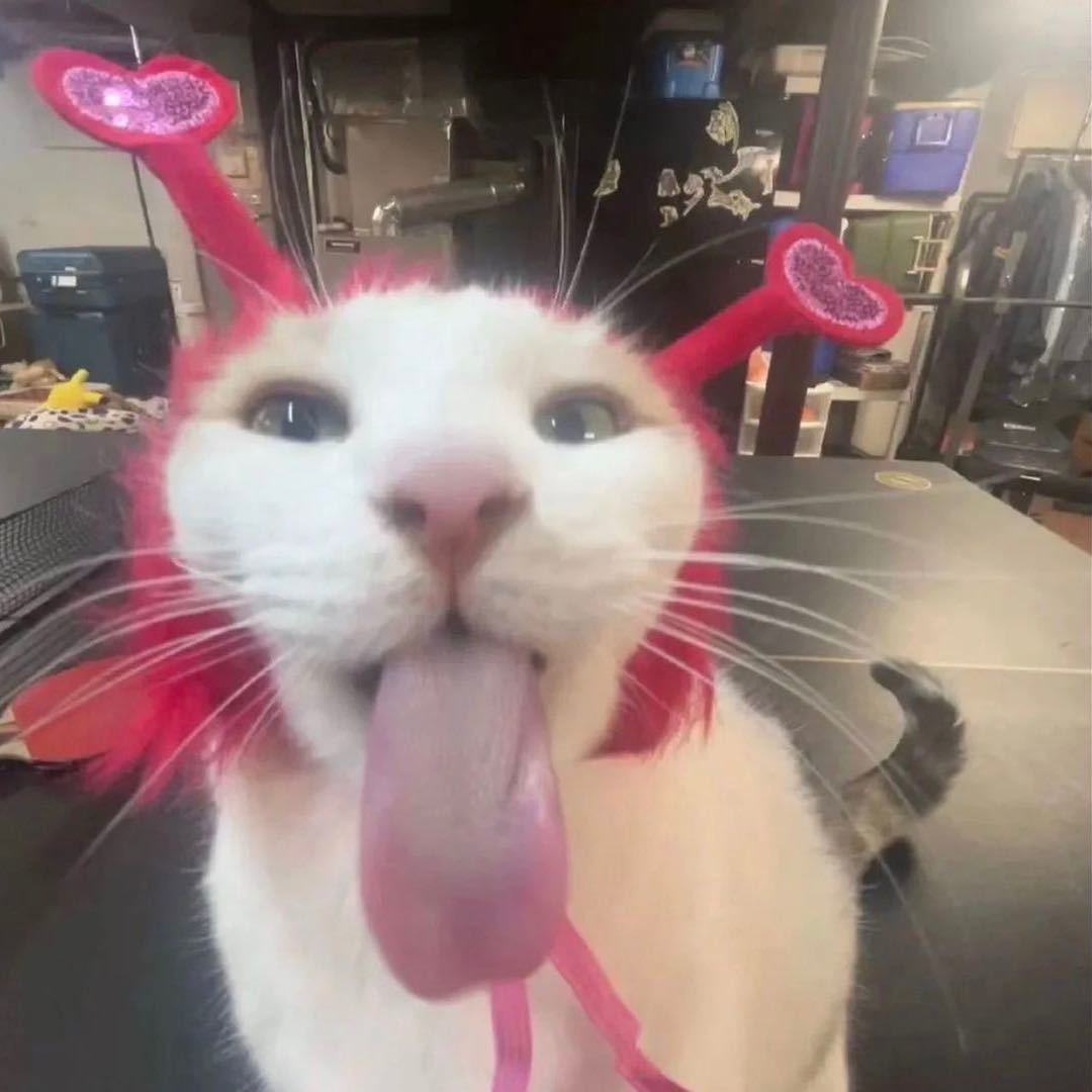 陈妍竹