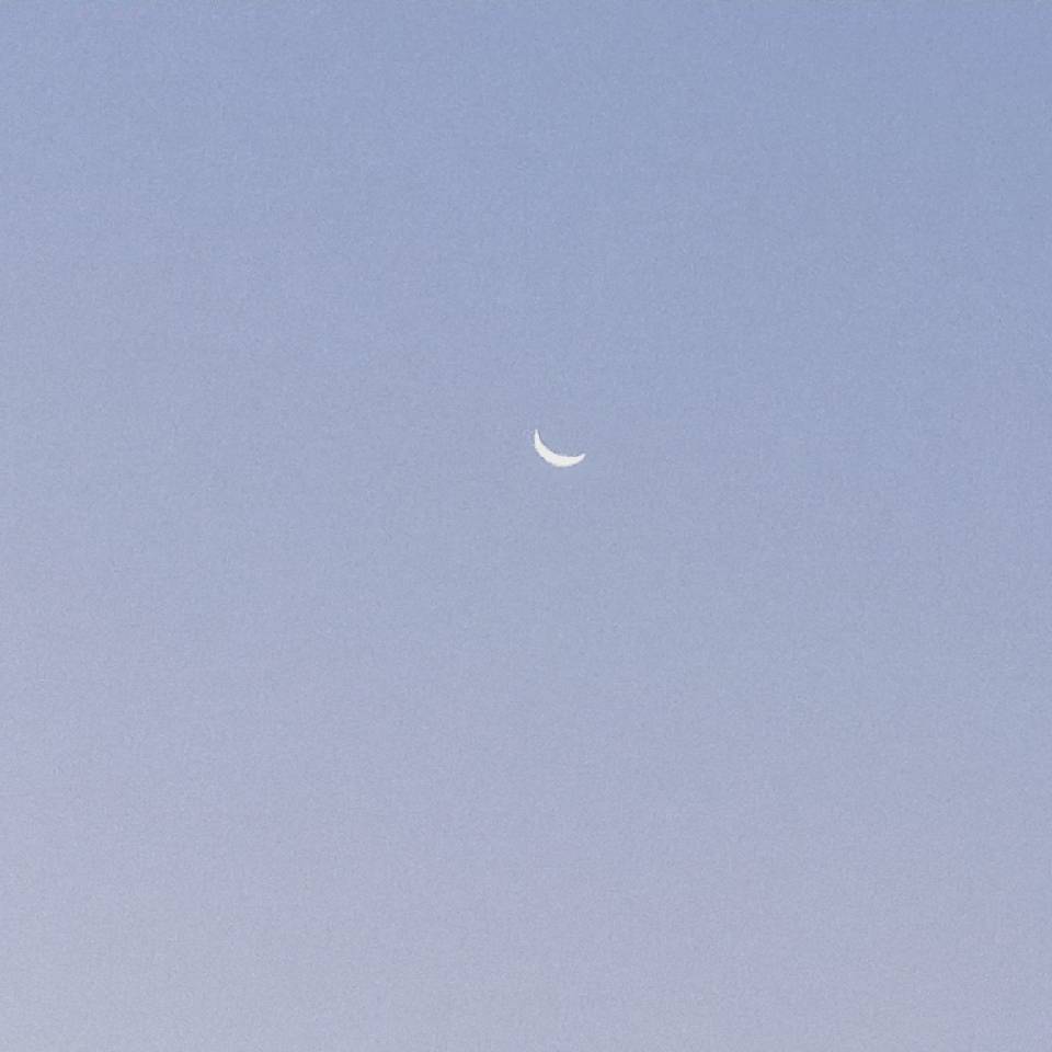 刘芸