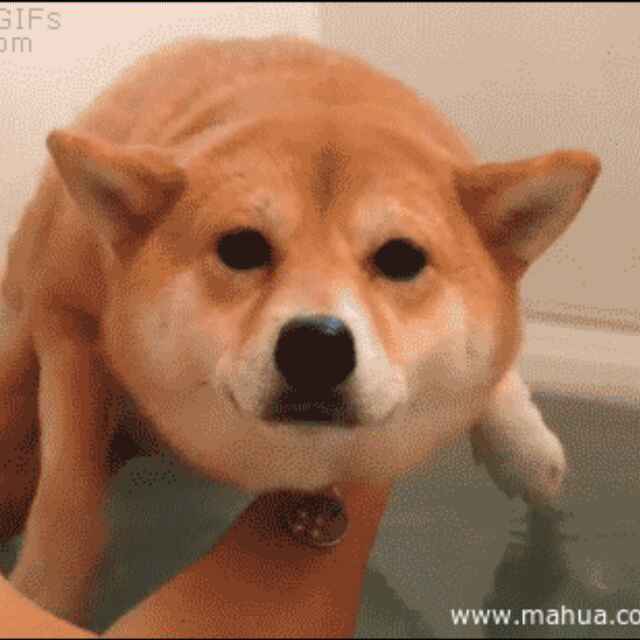 王根贝