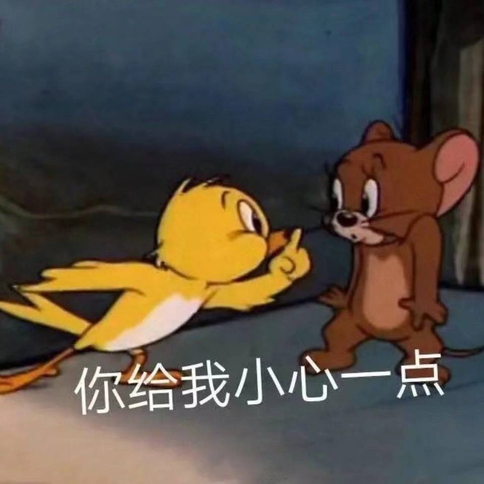 赵梓琦